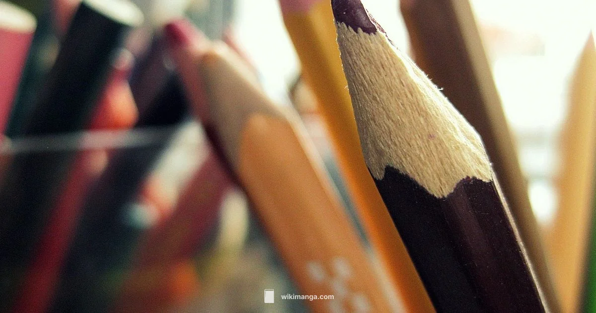 Anime vs Realism - WikiManga.