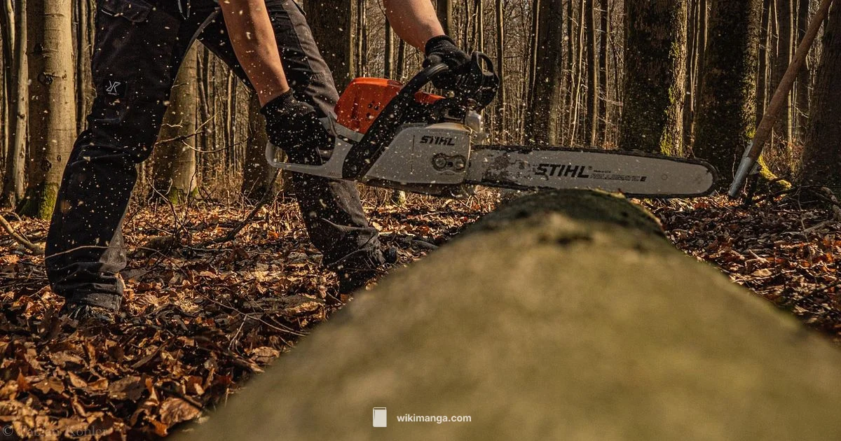 Chainsaw Man Length - WikiManga.