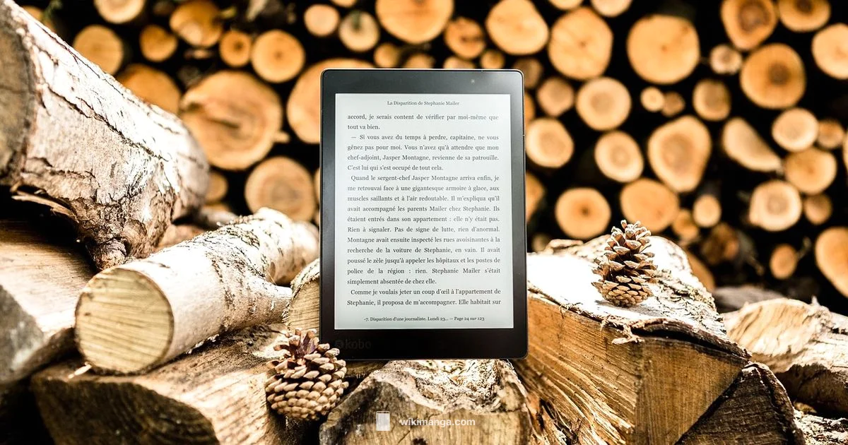 Manga Reader Overview - WikiManga.