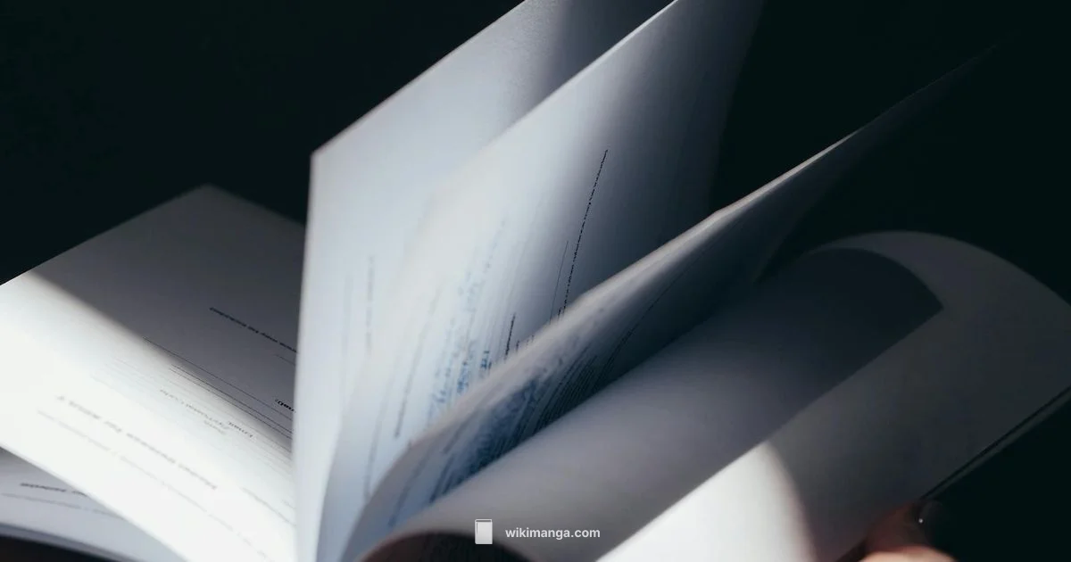 Right to Left Reading - WikiManga.