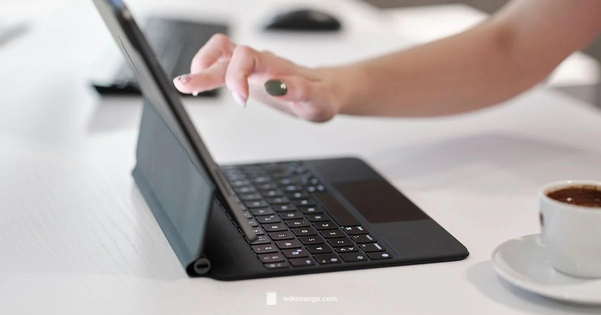 Manga Reading Guide - WikiManga.