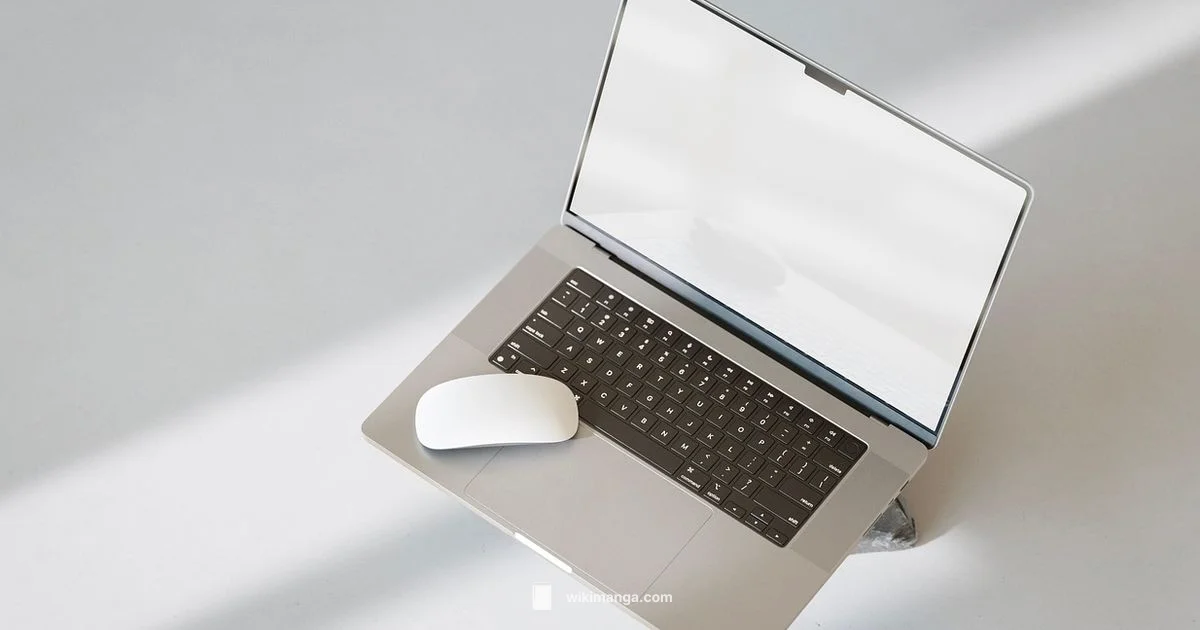 Mangago Troubleshooter - WikiManga.