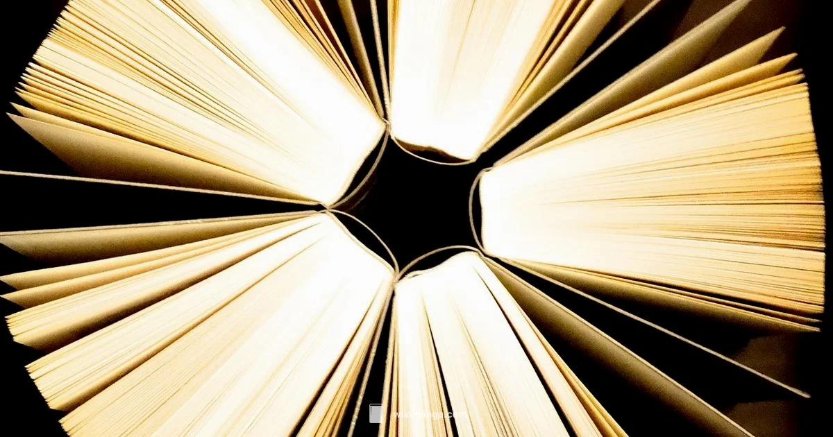 Manga Basics - WikiManga.