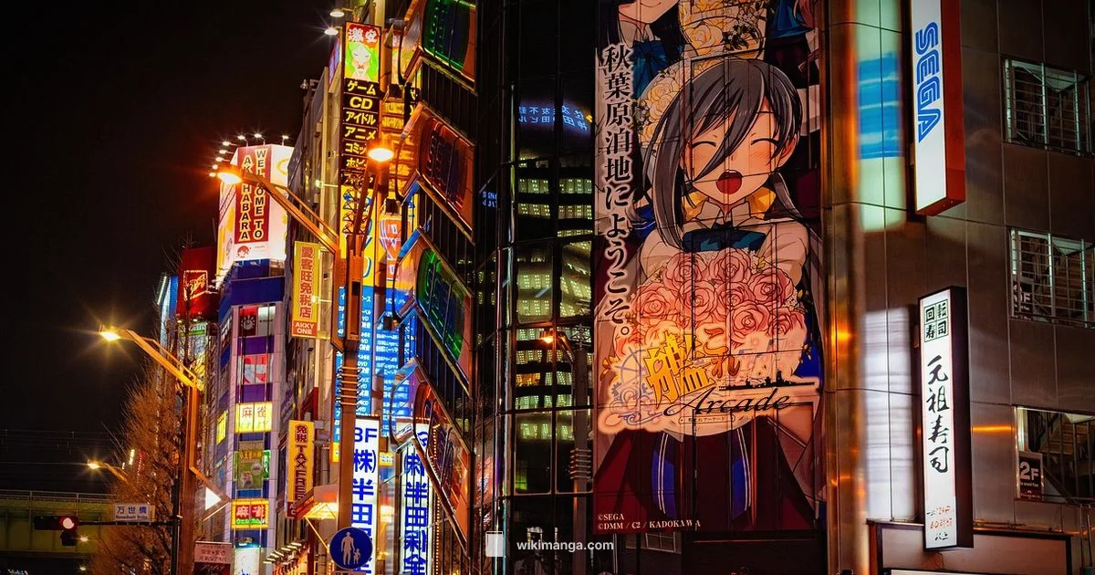 Manga Animation Process - WikiManga.