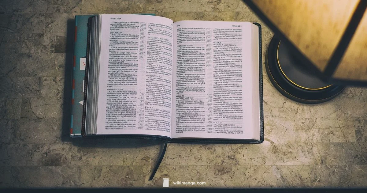 Apothecary Diaries Status - WikiManga.