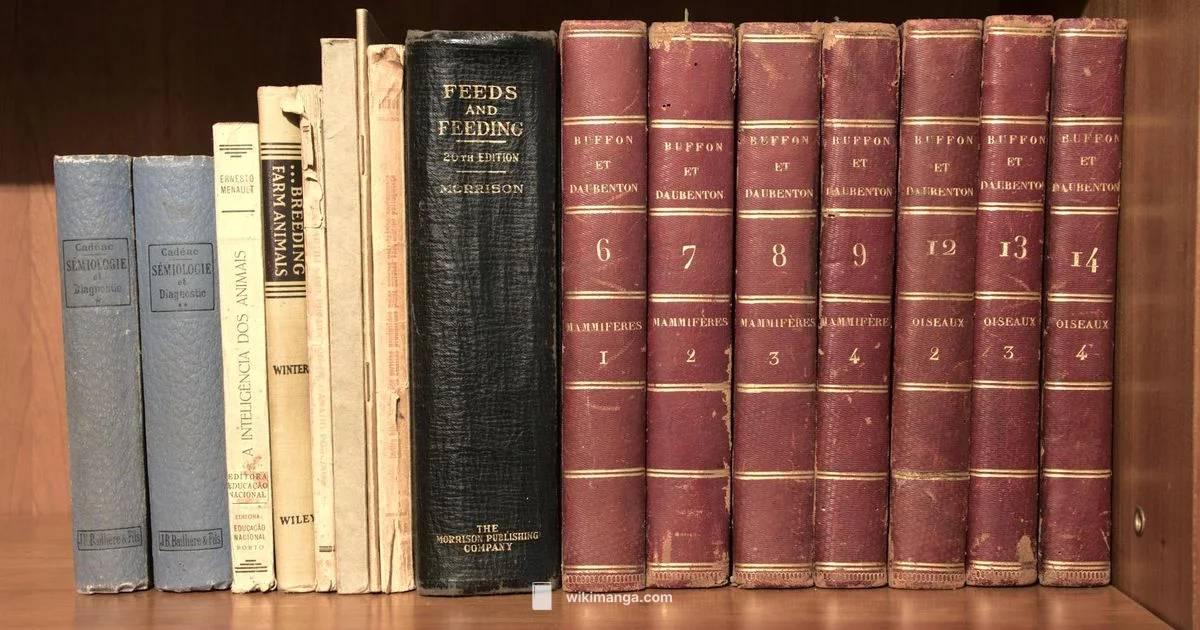 Rare Manga Value - WikiManga.