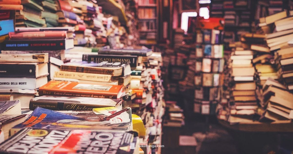 Manga vs Graphic Novels - WikiManga.