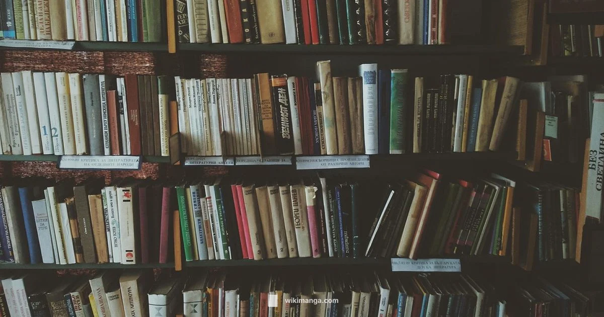 One Piece Size Guide - WikiManga.