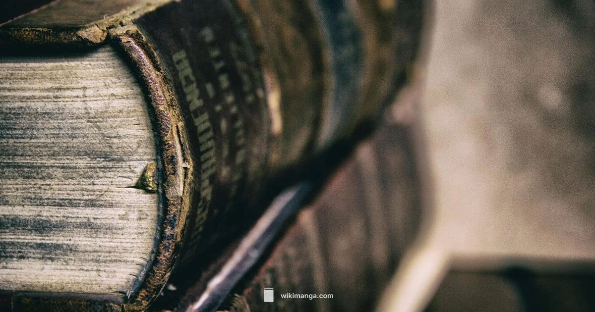 English Language Check - WikiManga.