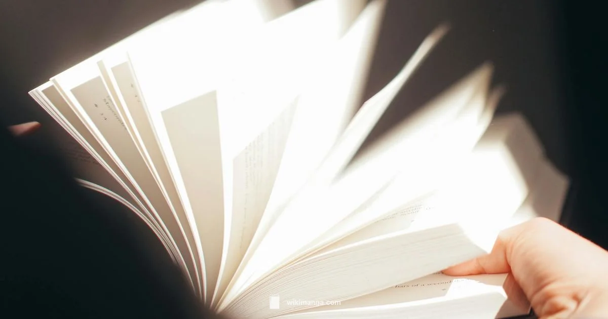 How Chapters Work - WikiManga.