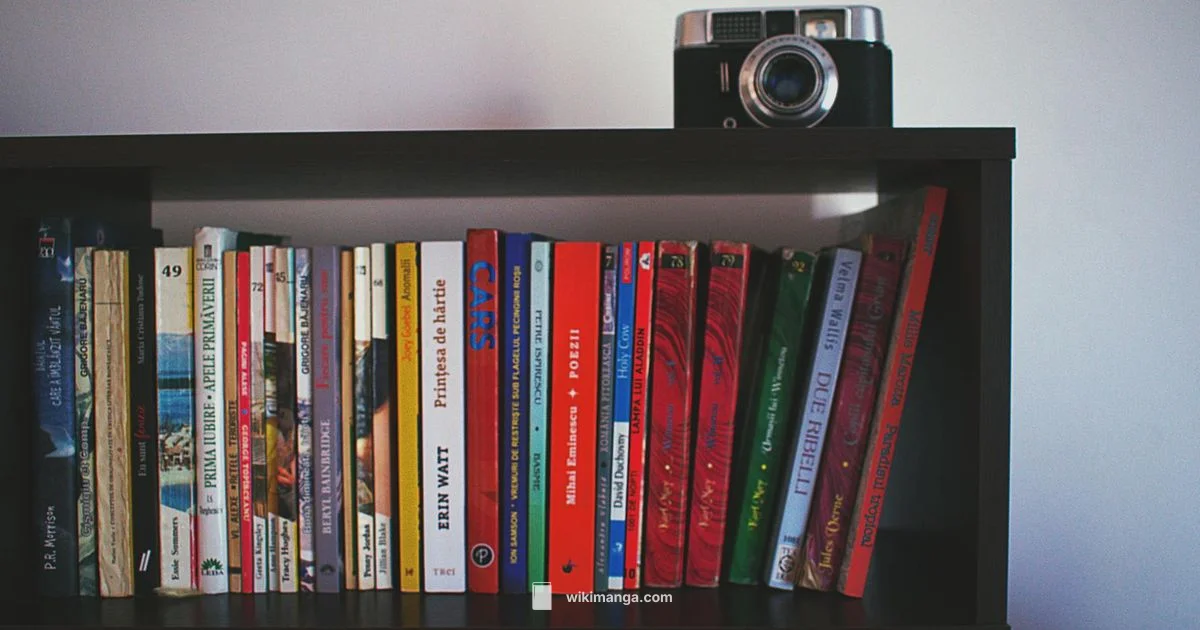 One Piece Box Set - WikiManga.