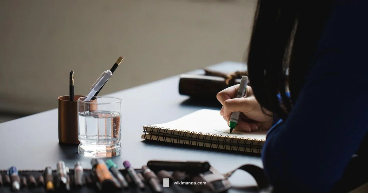 Beginner Anime Drawing - WikiManga.