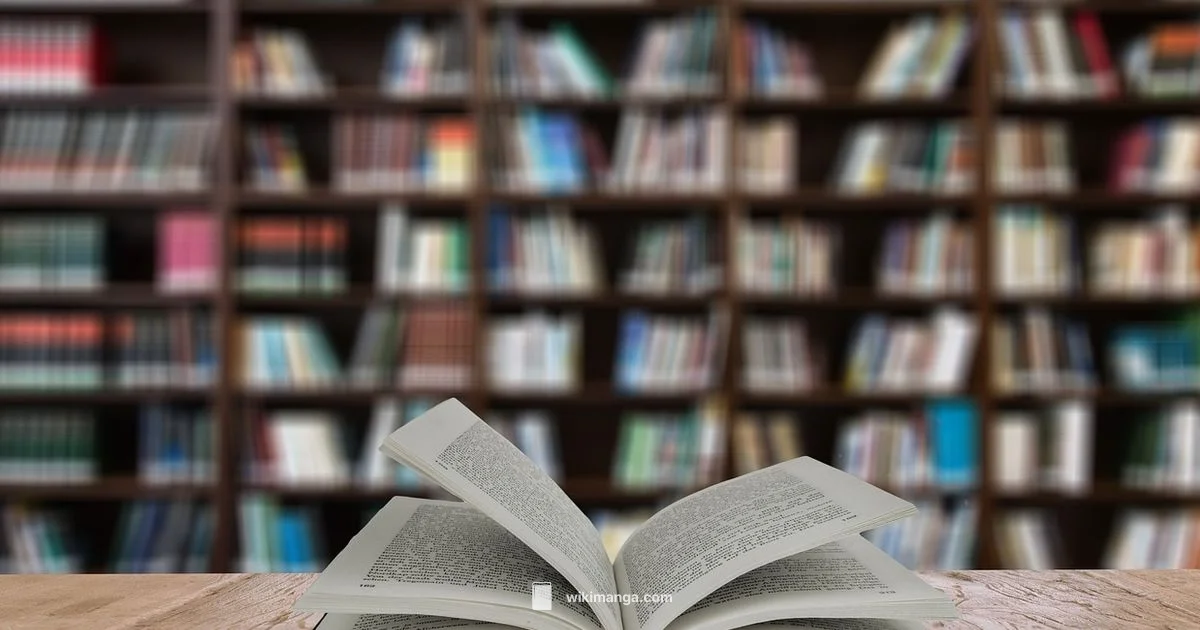 Manga vs Graphic - WikiManga.