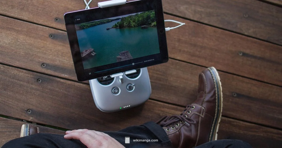 Manga Reading Guide - WikiManga.