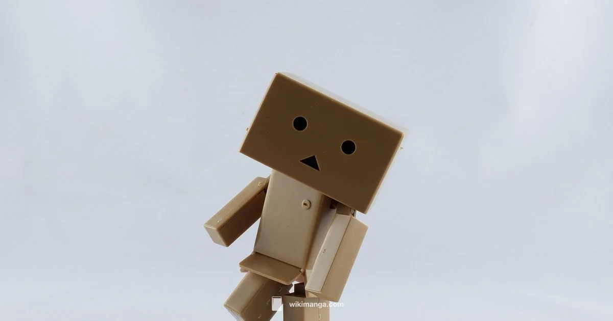 Manga Box Sets Guide - WikiManga.