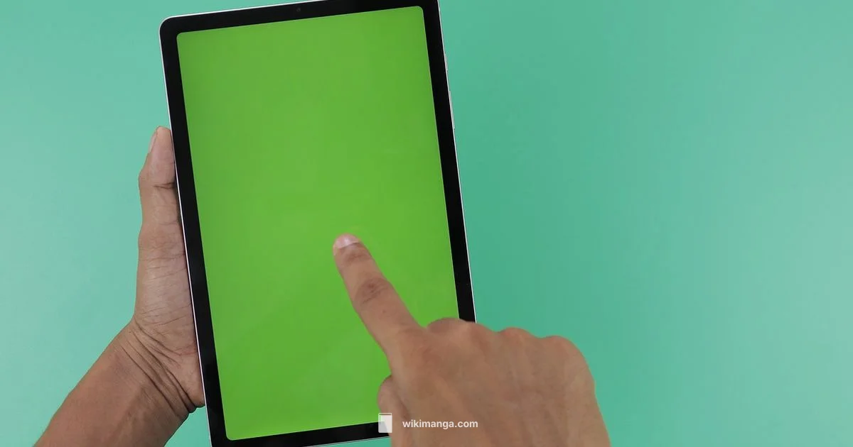 Manga Reader Fixes - WikiManga.