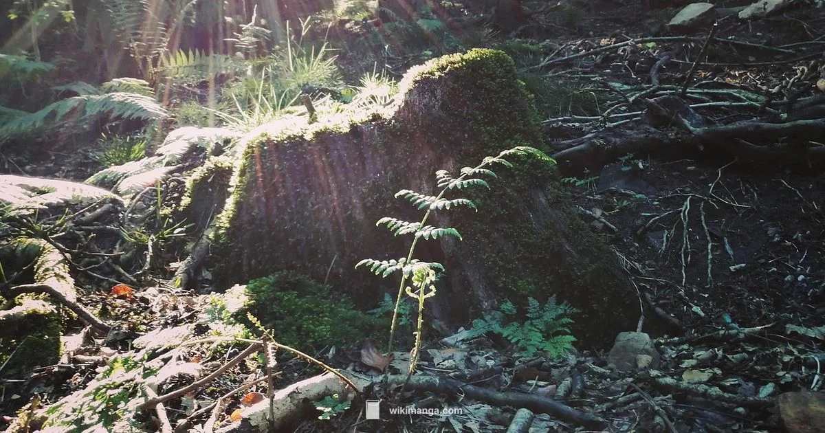 Berserk 1997 Overview Berserk 1997 Overview - WikiManga.