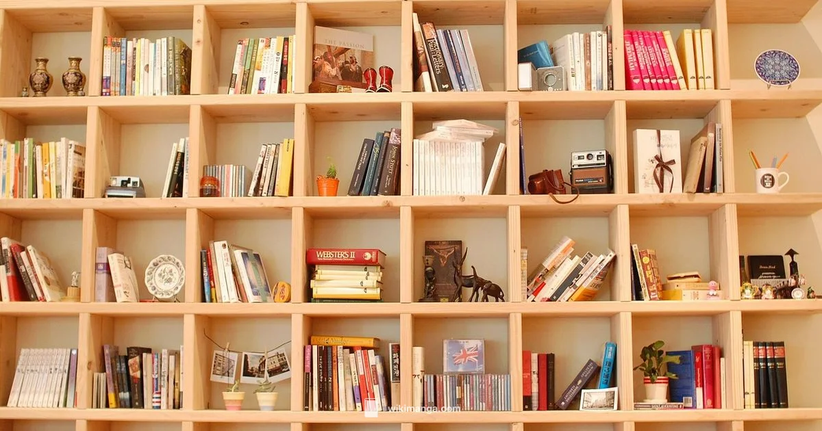 Seinen Manga Defined - WikiManga.