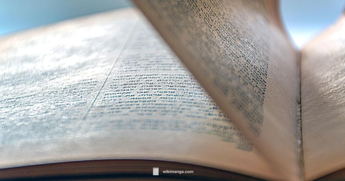 Best Manga Series - WikiManga.