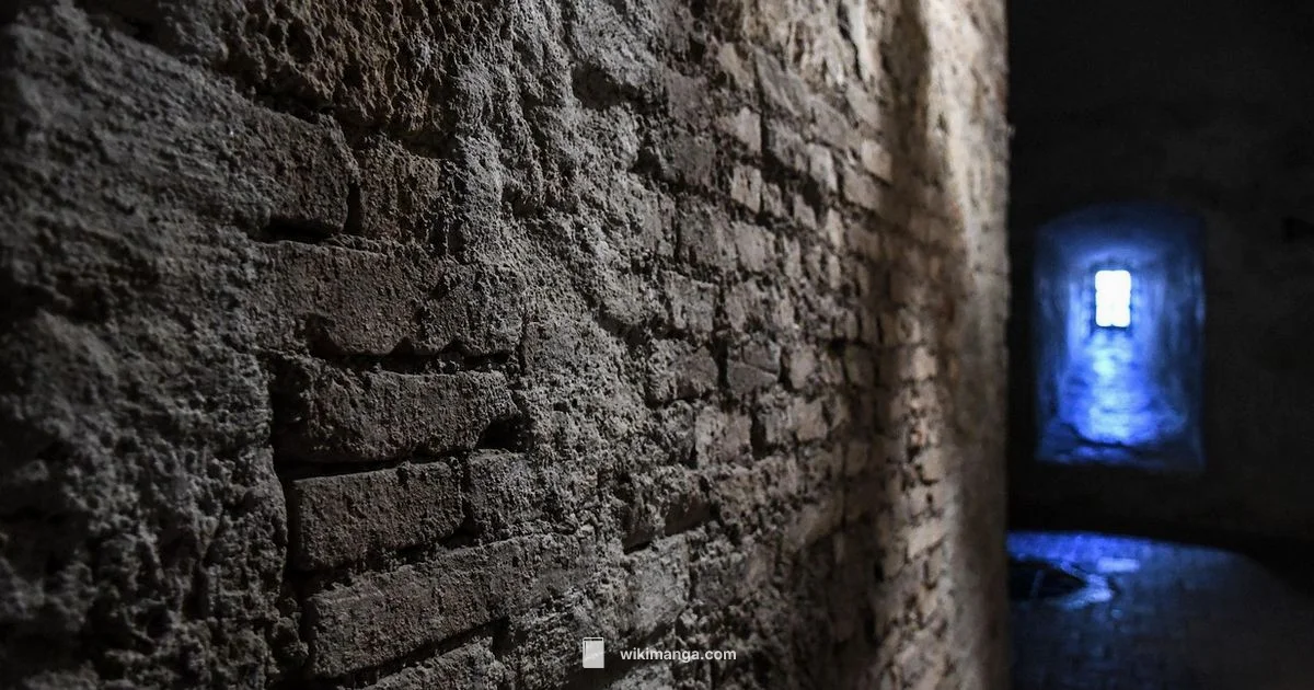 Best Solo Leveling Alternatives - WikiManga.