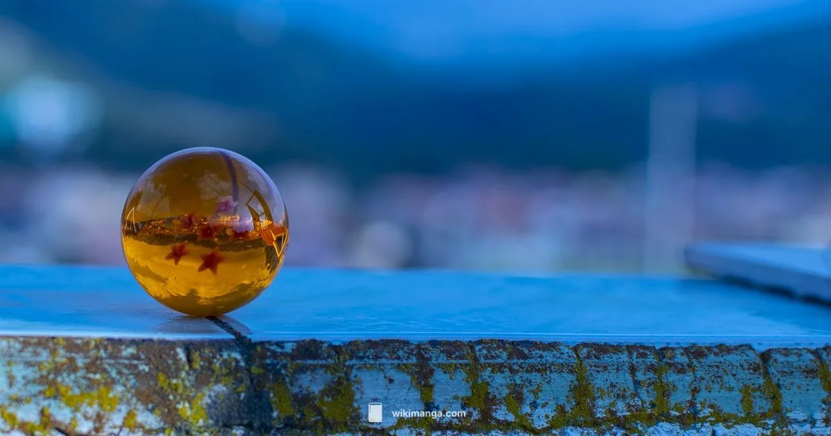 Goku vs Beerus - WikiManga.