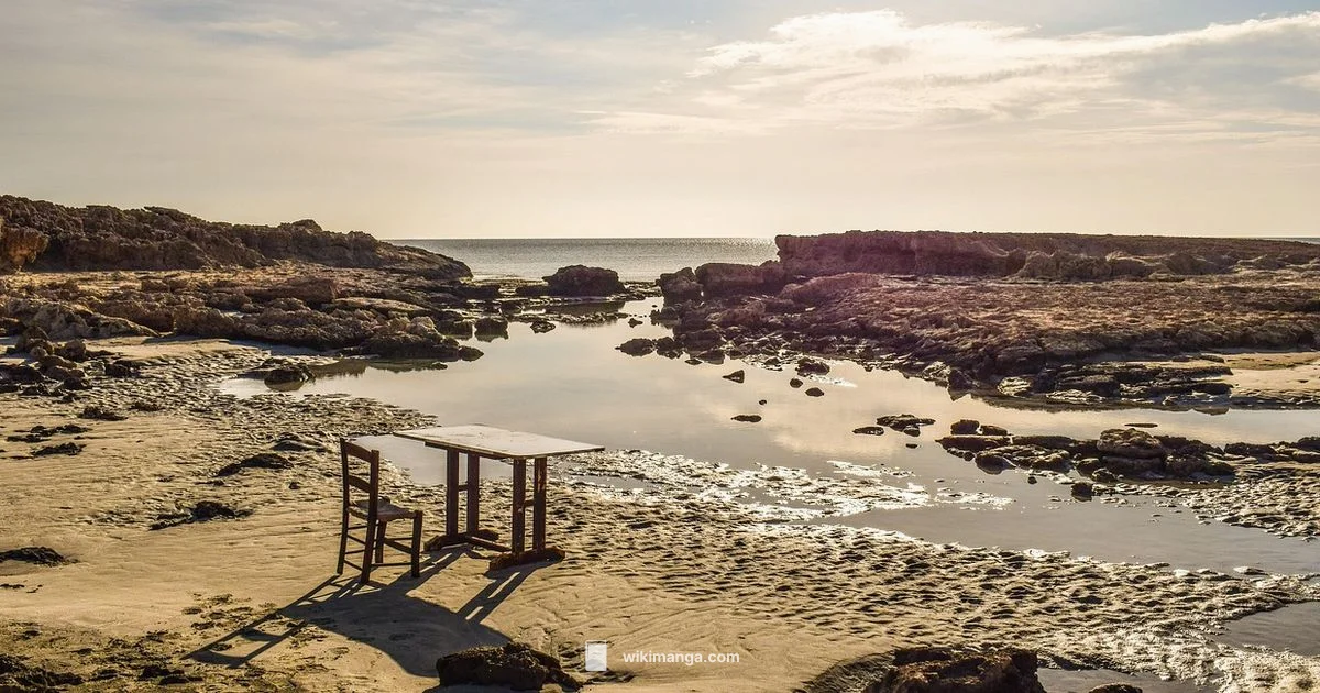 Fujimoto’s Works - WikiManga.