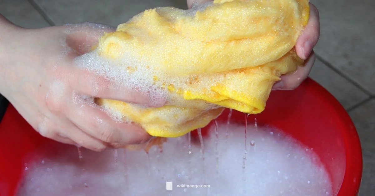 Manga Cleaning Guide - WikiManga.