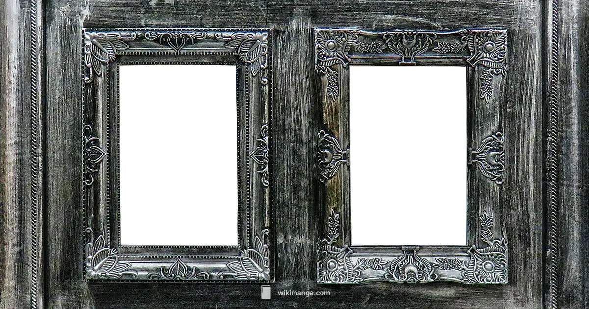 Manga Salvage Guide - WikiManga.