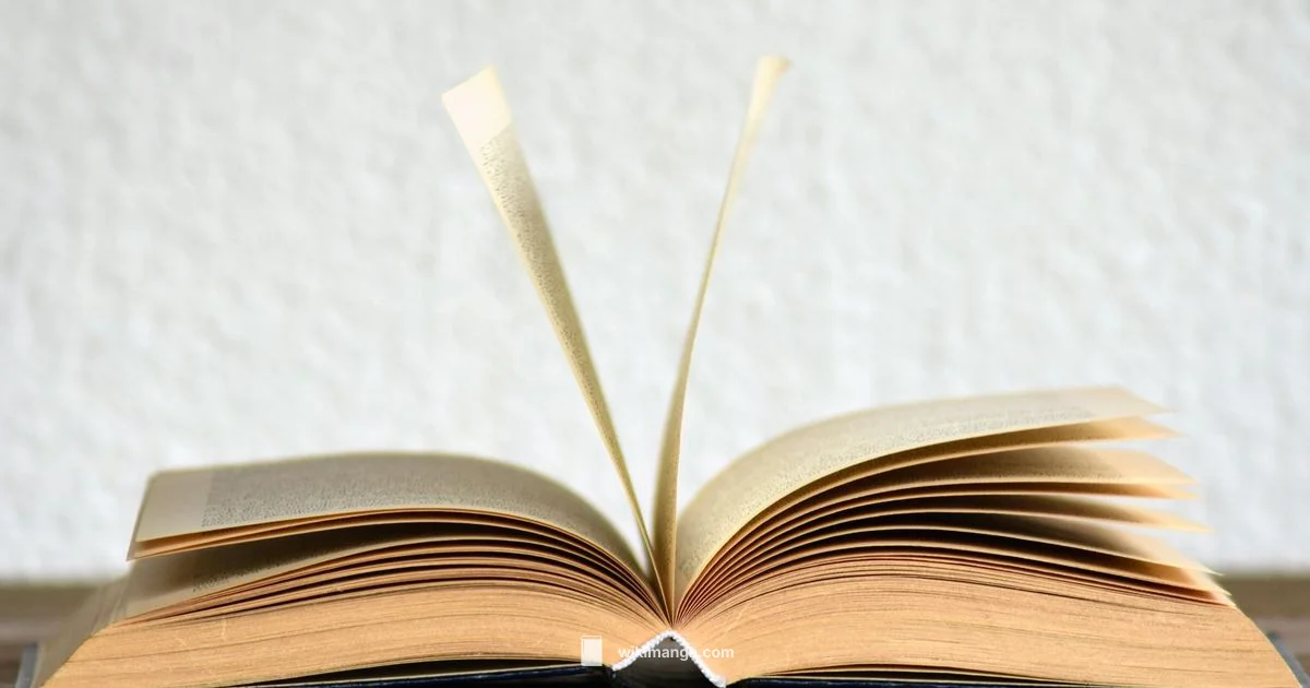 Manga Reading Direction Manga Reading Direction - WikiManga.