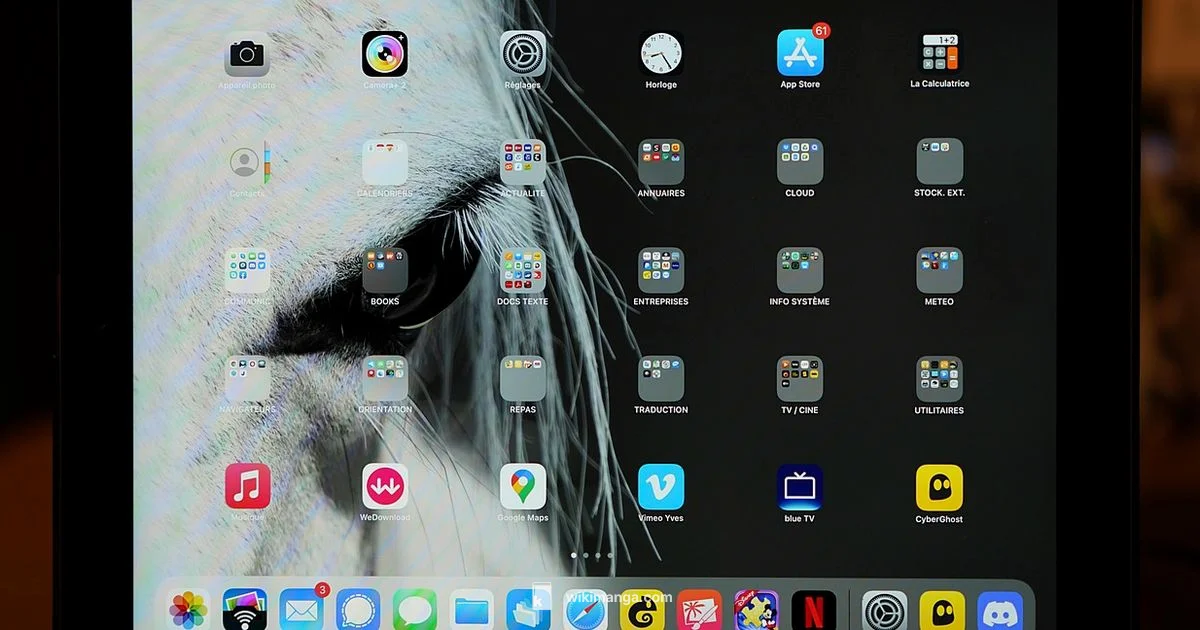 Manga Worth It - WikiManga.