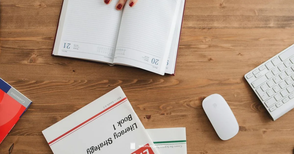 Demon Slayer Guide - WikiManga.