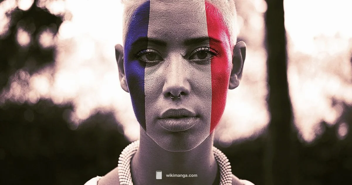 France Manga Popularity - WikiManga.