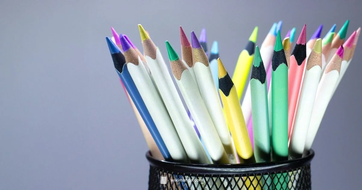 Manga Creation Guide - WikiManga.