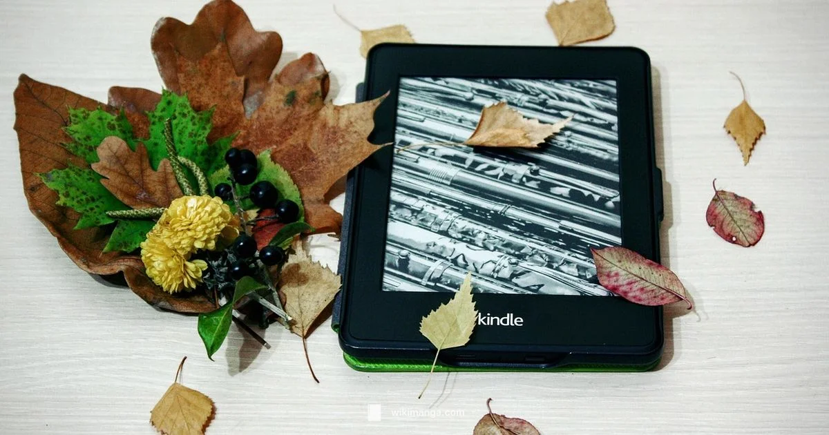 Reddit Manga Guide Reddit Manga Guide - WikiManga.