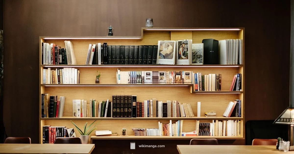 Manga Reading Guide - WikiManga.