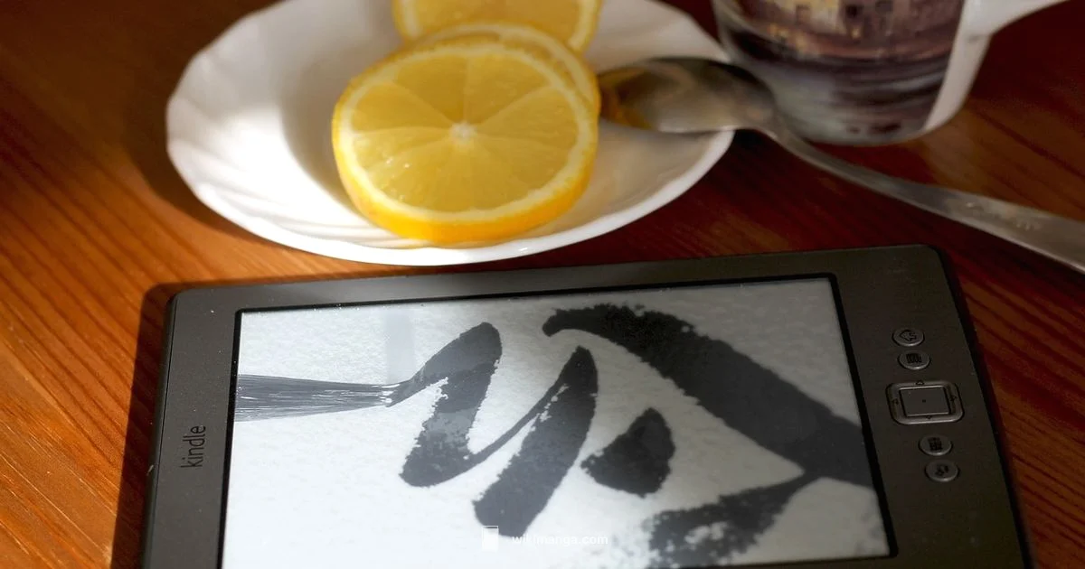 Kindle Manga Guide - WikiManga.