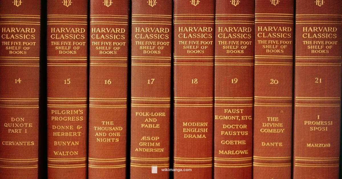 Reading Manga Guide - WikiManga.