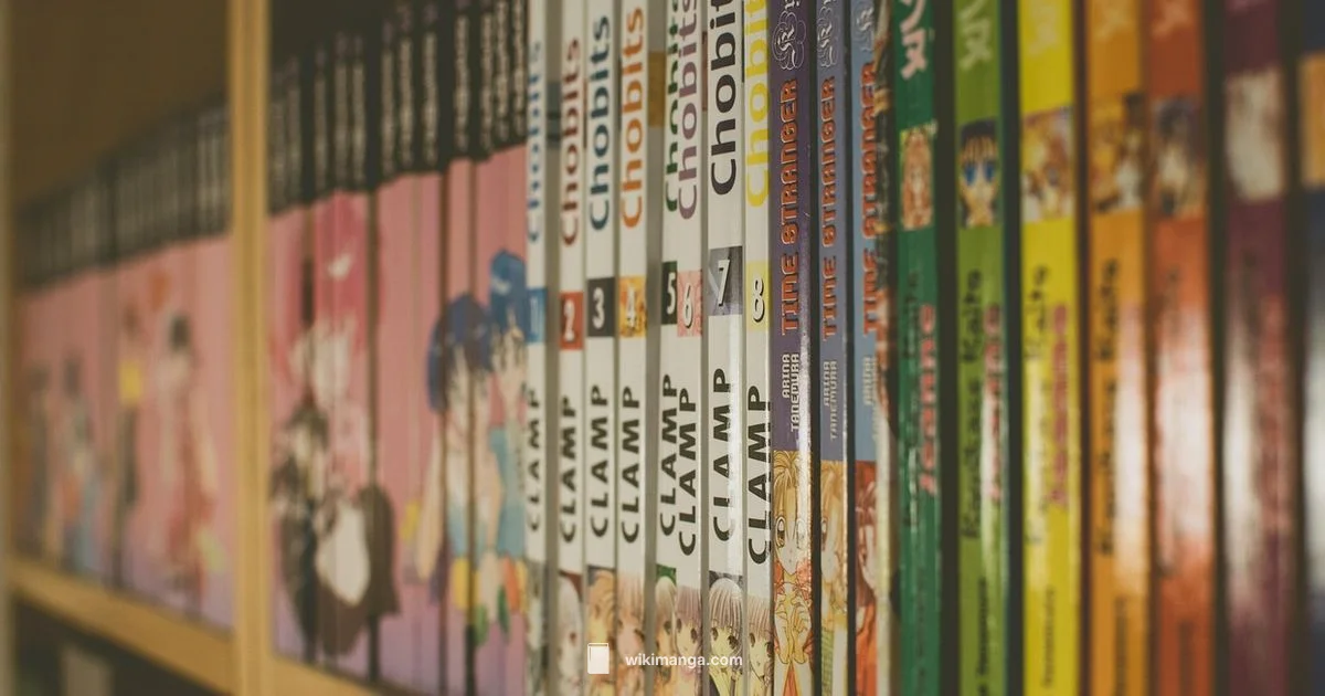 Manga Books Overview - WikiManga.