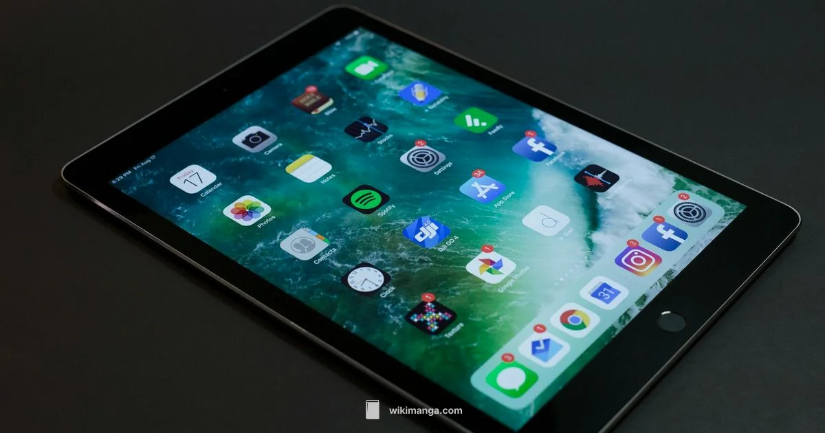 K Manga Review - WikiManga.