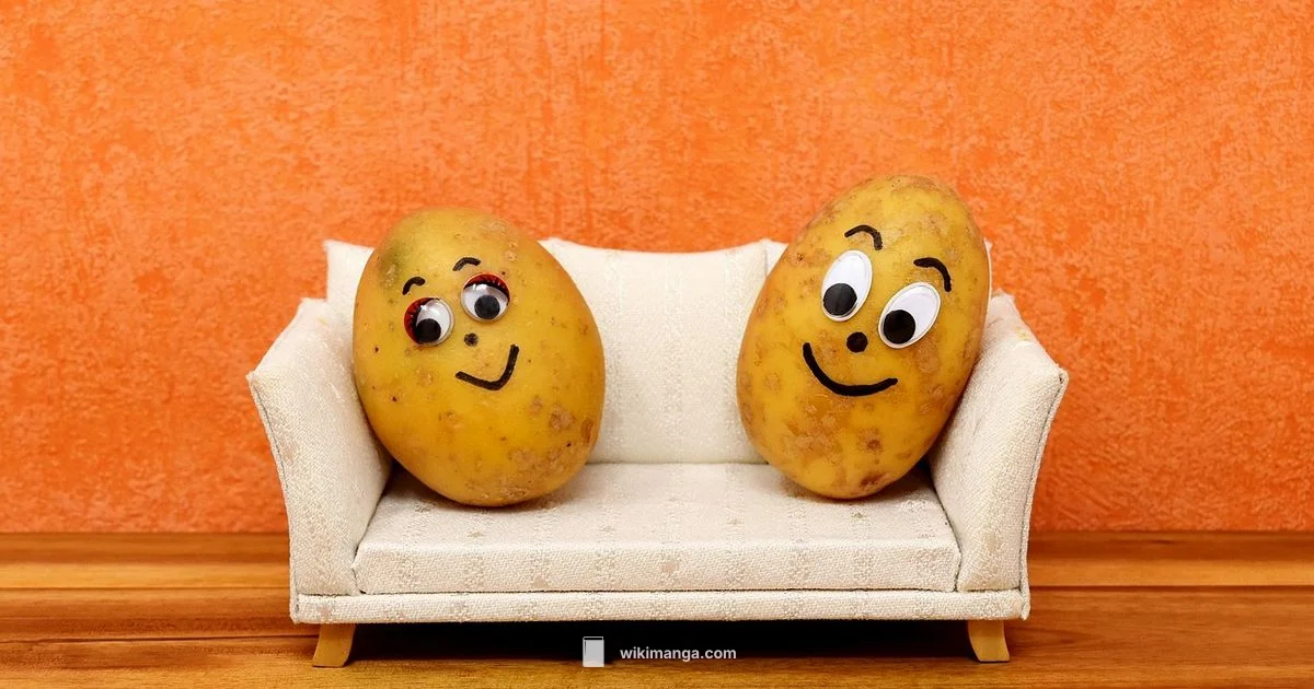 Kids Anime Guide - WikiManga.