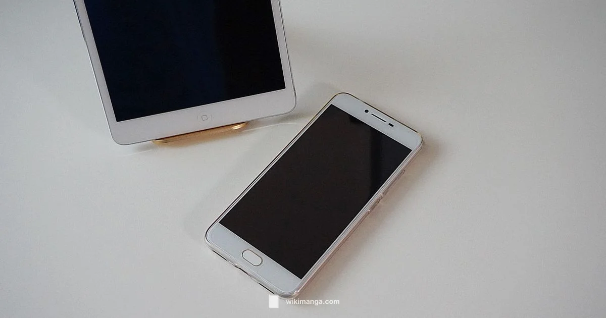 Berserk App Availability - WikiManga.