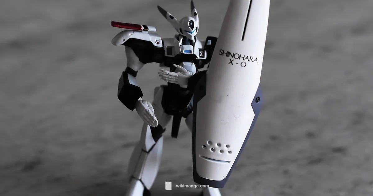 Manga vs Anime - WikiManga.