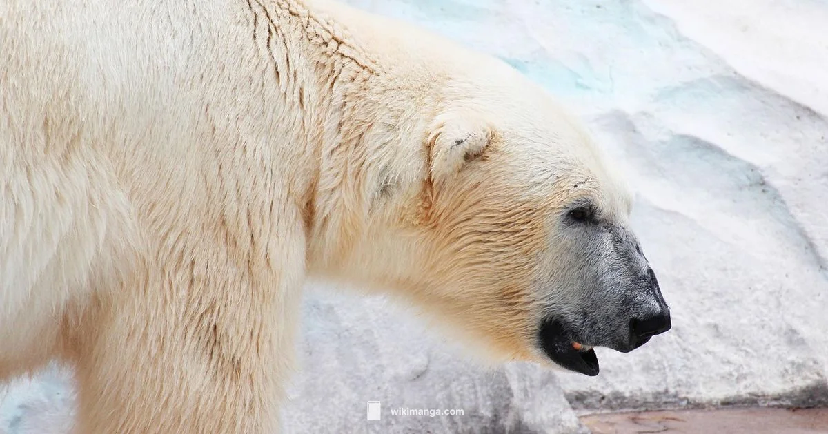 Read Berserk - WikiManga.