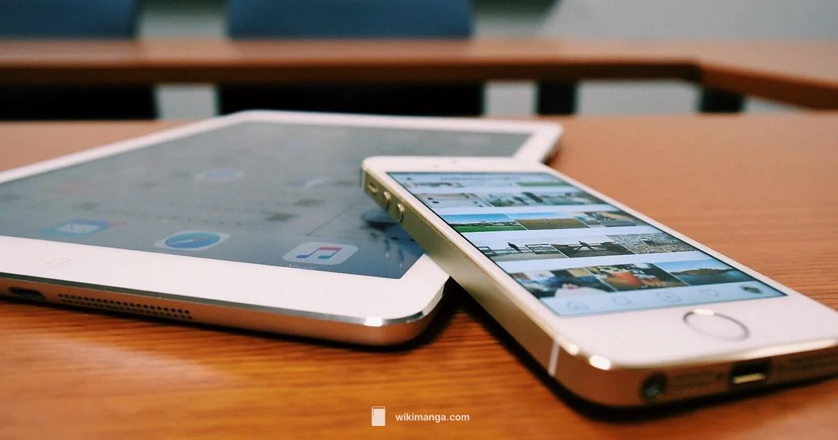 Read After Reze Arc - WikiManga.