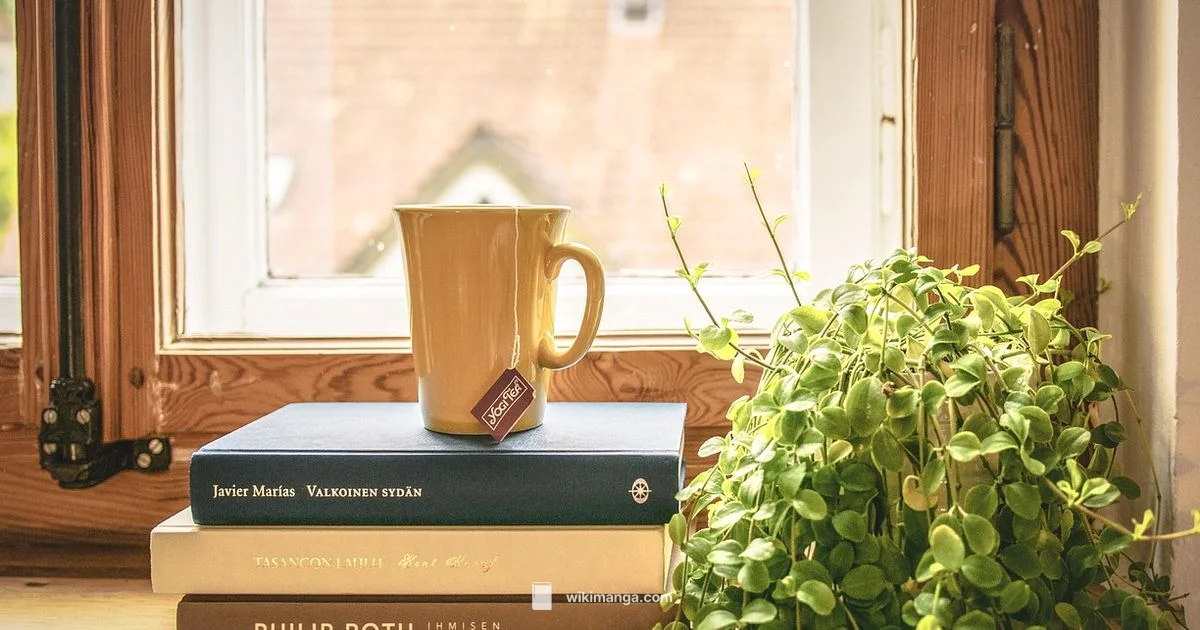 Manga vs LN - WikiManga.