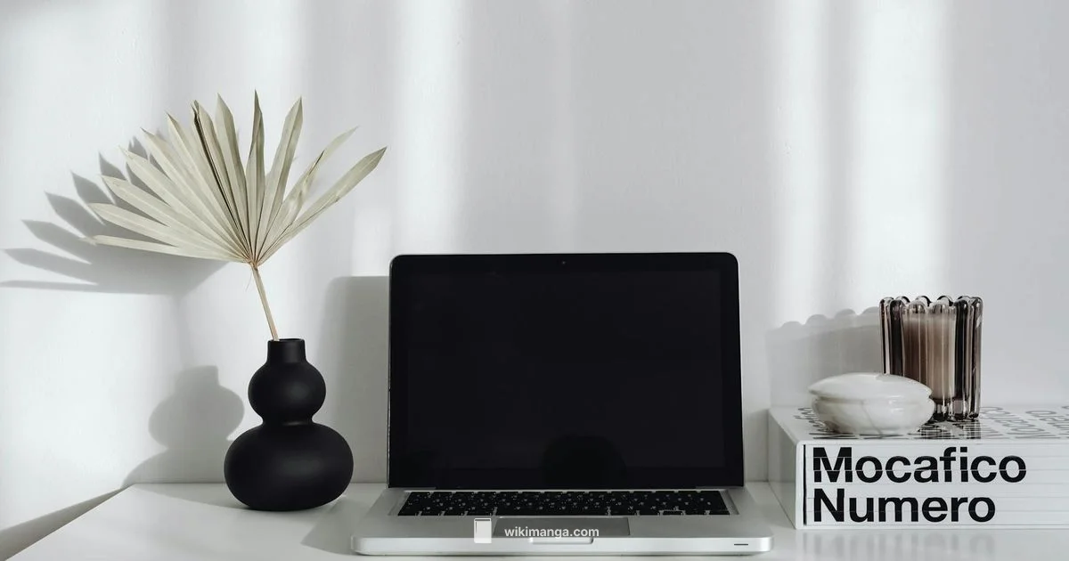 is manga and manhwa different - WikiManga.