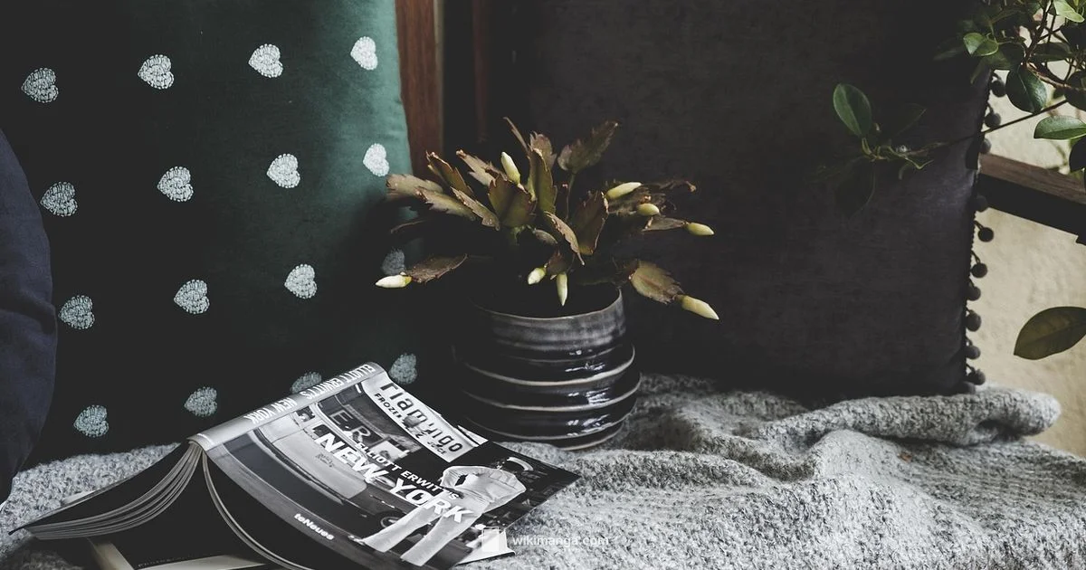 Best Manga App for iPhone - WikiManga.