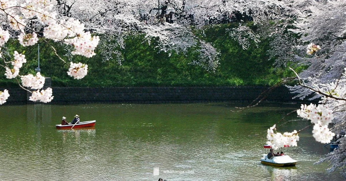 English Manga in Japan - WikiManga.