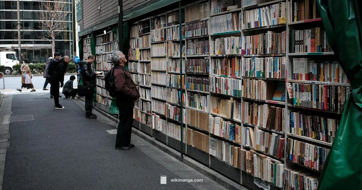 Graphic Novel vs Manga - WikiManga.