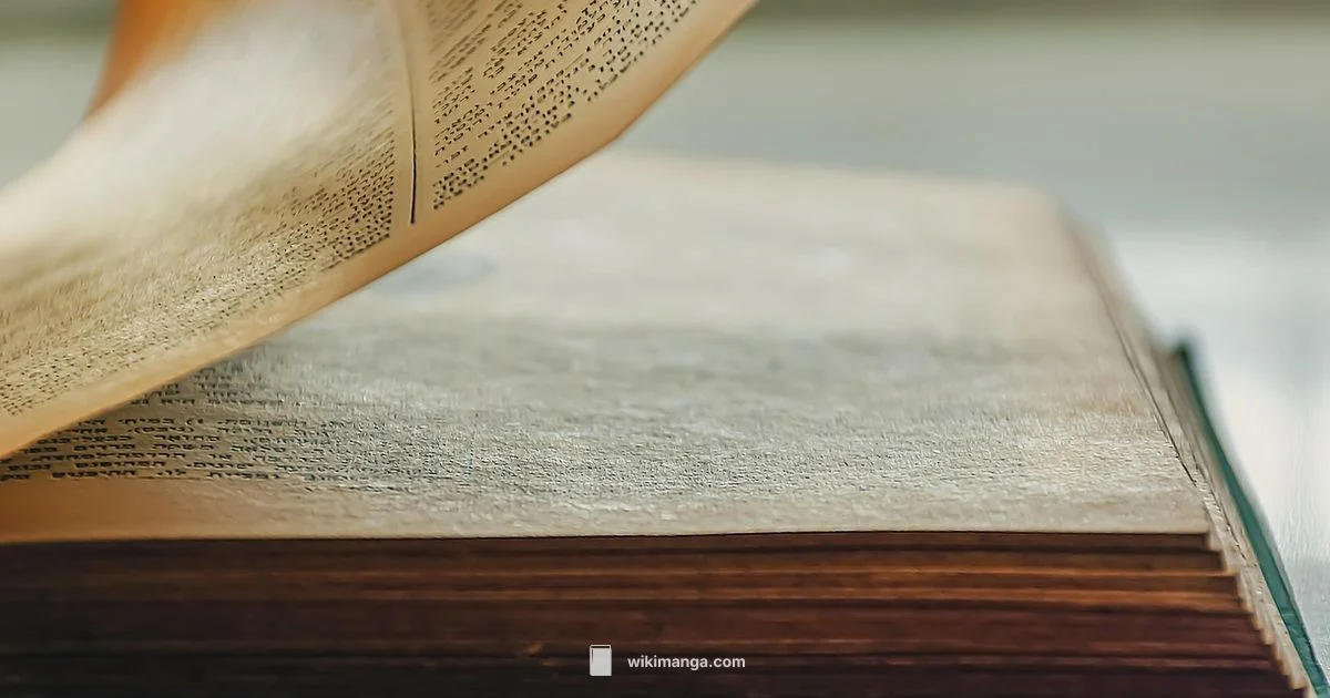 Why Manga Popular - WikiManga.